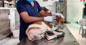 After surgery follow up given
