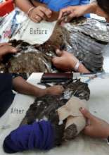 BEFORE AFTER
