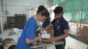 Follow up treatment by our team