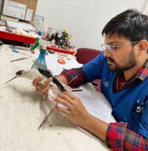 bird was examined by our doctor