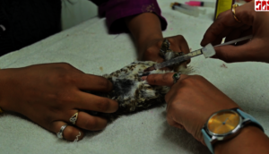 doctor started immediate medication