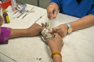 Greta during the treatment