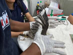 our team remove the glue from all the feathers