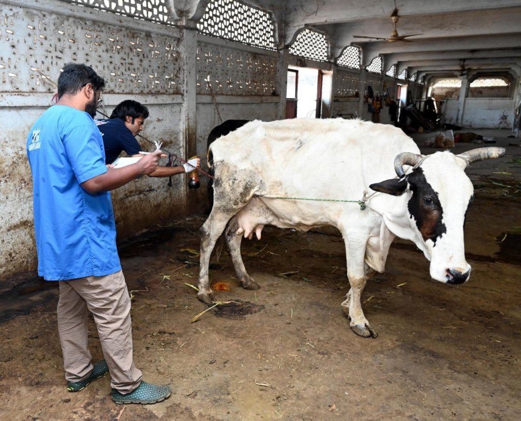 Trauma Care Centre for Stray Animals and Birds