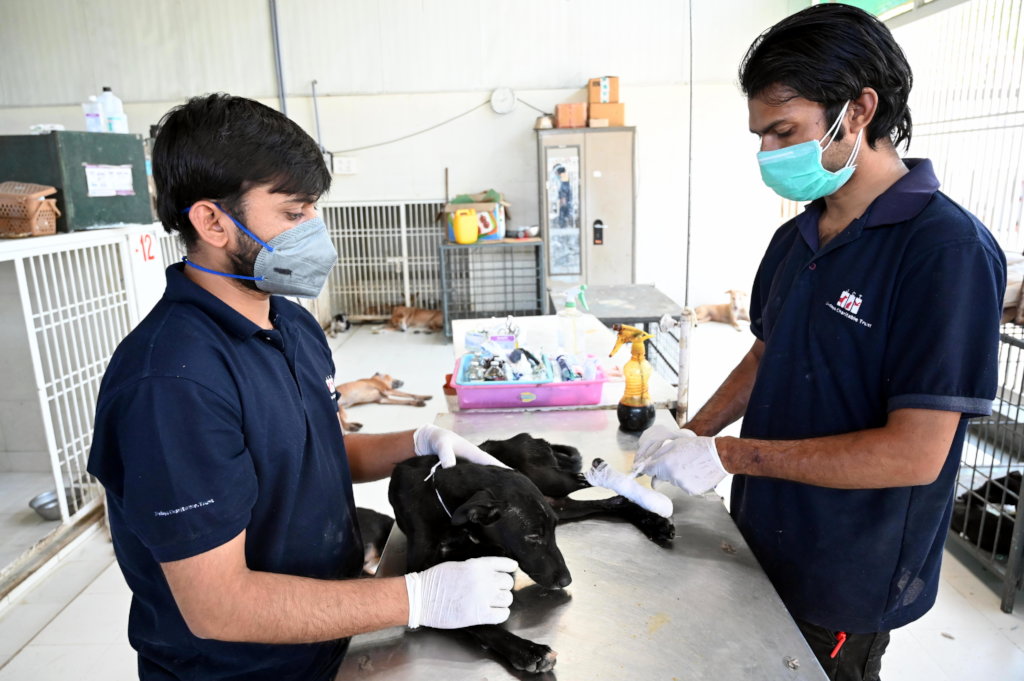 Trauma Care Centre for Stray Animals and Birds