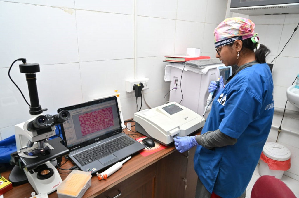 Trauma Care Centre for Stray Animals and Birds