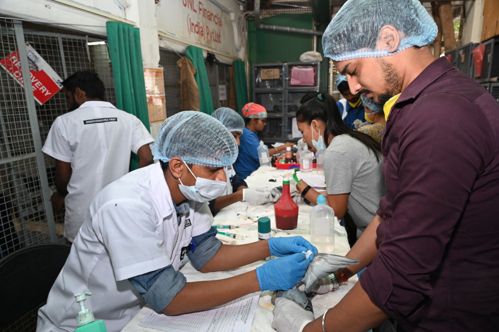 Trauma Care Centre for Stray Animals and Birds