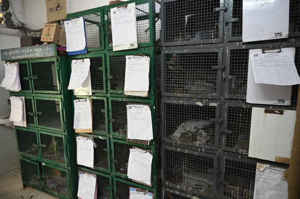 Trauma Care Centre for Stray Animals and Birds