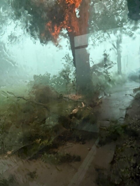 Storm Damage cont