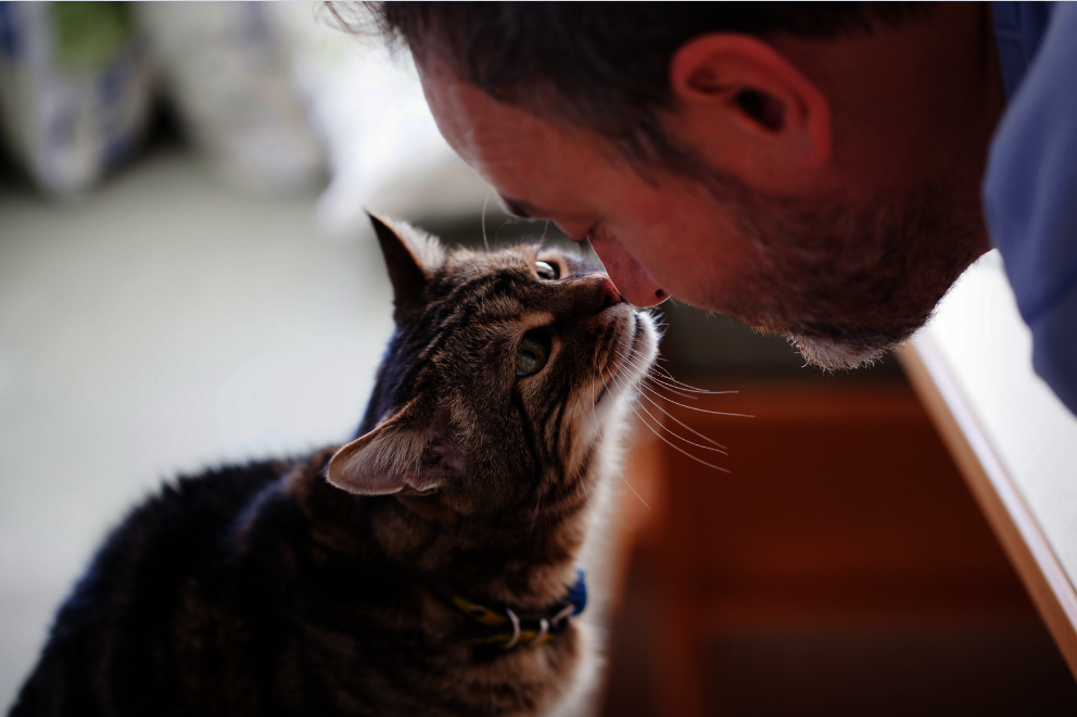 Reports on National Pet Food Bank Program GlobalGiving