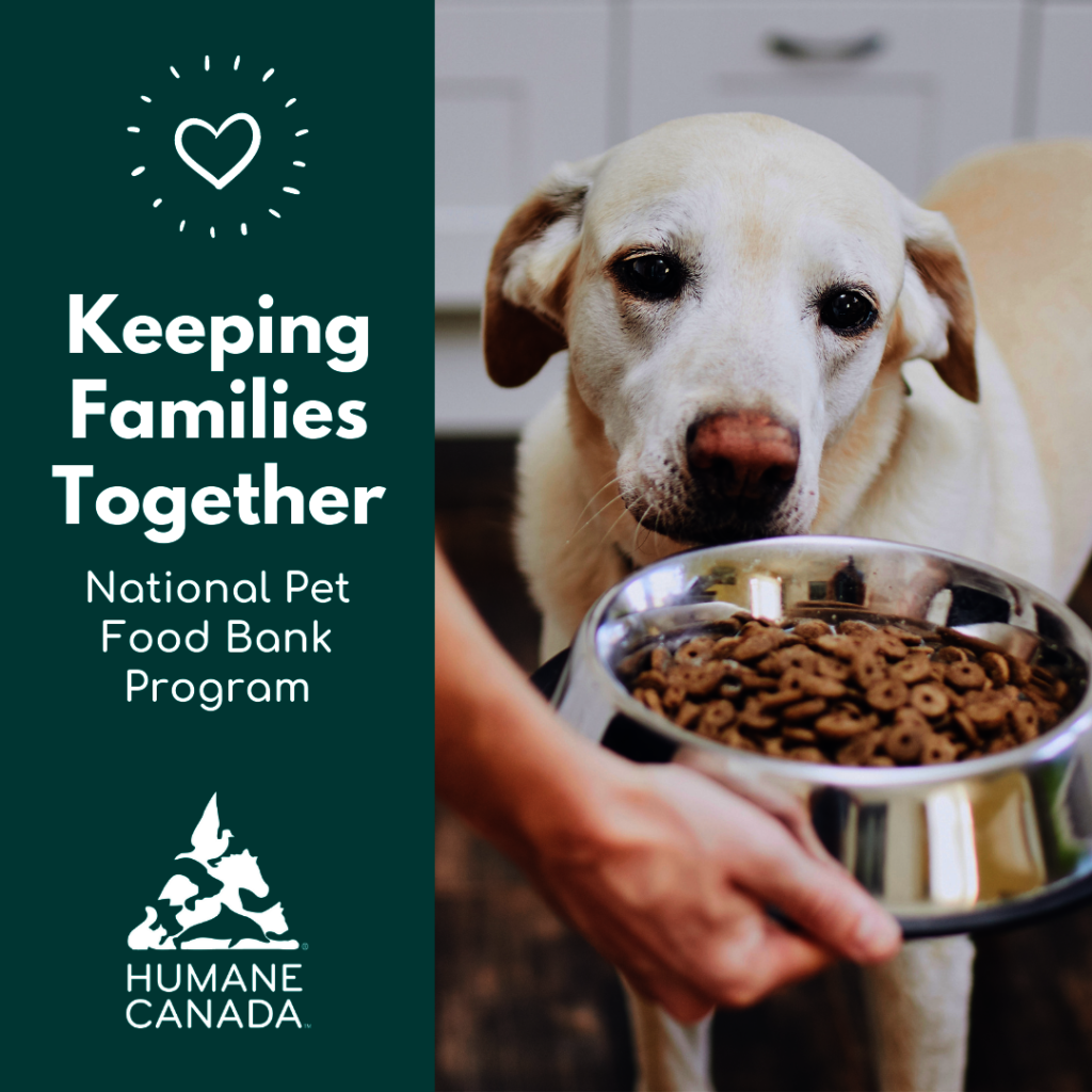 National Pet Food Bank Program