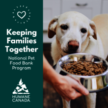 National Pet Food Bank Program