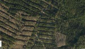 Our project site in 2013