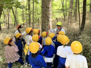 Children are encouraged to listen to the forest.