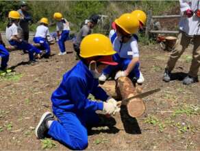Children experience sawing trees.