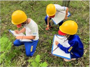 Children record observations inside the forest.