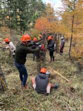 Volunteers during the site maintenance.