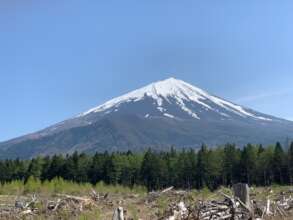 Mt. Fuji covered with snow