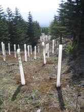 Our project site in 2007