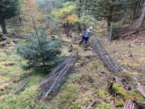 Animal protection nets damaged by wind and snow