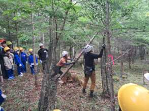 Kids astounded seeing a tree falling