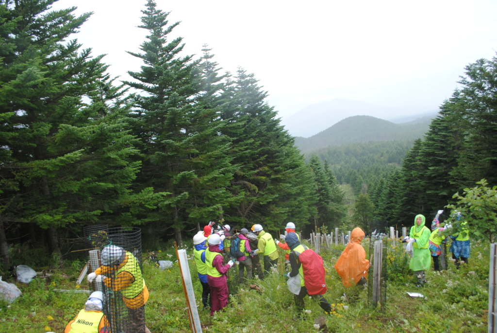 Regenerating 100-Hectare Forest in Mt. Fuji