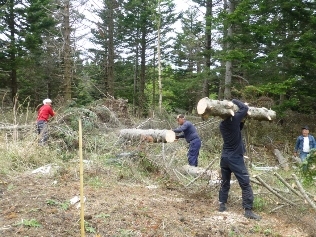 Regenerating 100-Hectare Forest in Mt. Fuji