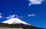 Regenerating 100-Hectare Forest in Mt. Fuji