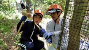 Repairing the nets to protect trees from deer