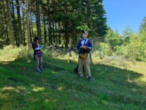 Surveying birds with the researchers