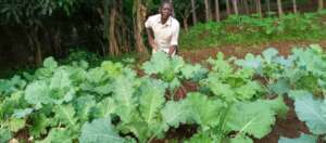 Finding back to normal