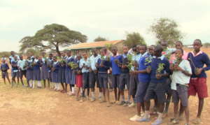 Tree growing activities in Mara area