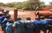 MOBILE CONSERVATION EDUCATION UNIT IN MAASAI MARA