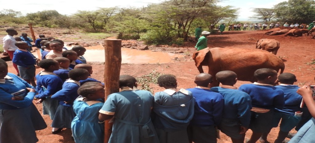 MOBILE CONSERVATION EDUCATION UNIT IN MAASAI MARA