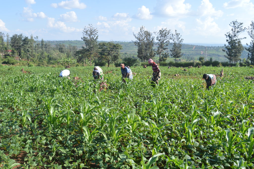 Build 5 homes for 26 vulnerable children in Rwanda