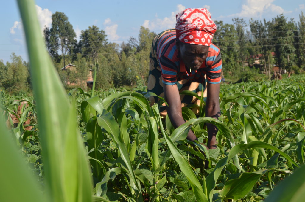 Build 5 homes for 26 vulnerable children in Rwanda