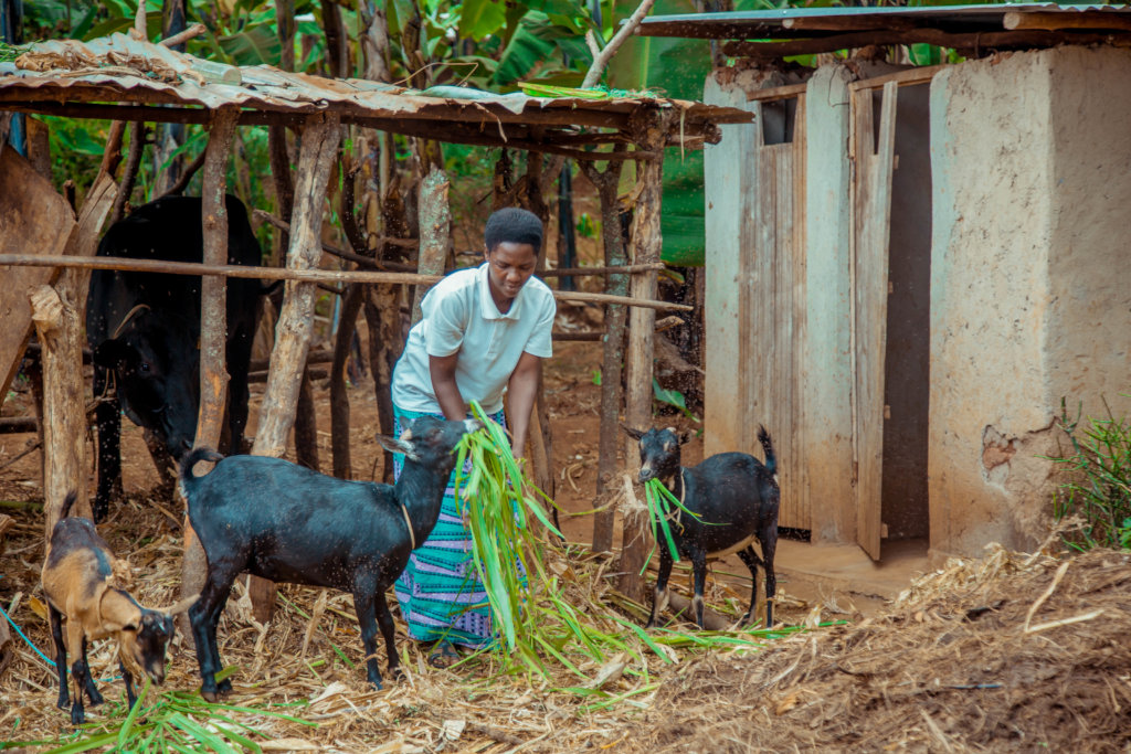 Build 5 homes for 26 vulnerable children in Rwanda