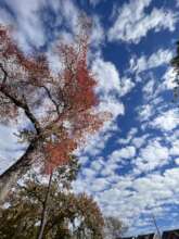 Photo taken by Ouida Duncan