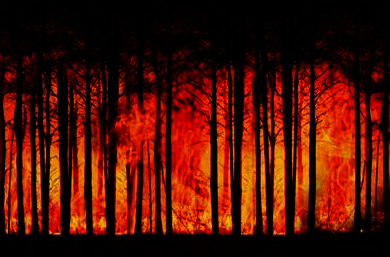 Wise Climate Change Action Using Impact Assessment