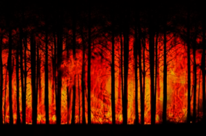 Wildfires