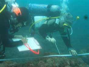 Conduct Reef Check