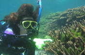 Check Coral Reef in 6 Hotspots of Taiwan