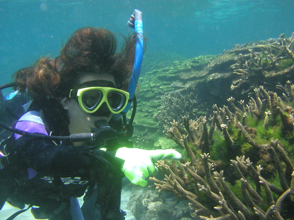 Check Coral Reef in 6 Hotspots of Taiwan