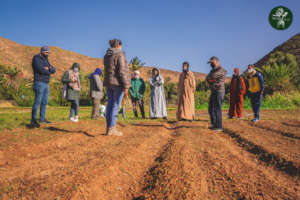 In the field