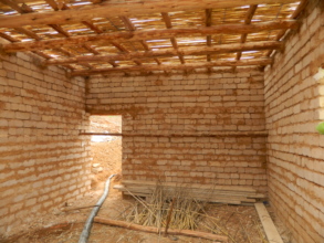 The Seed Library in the Making