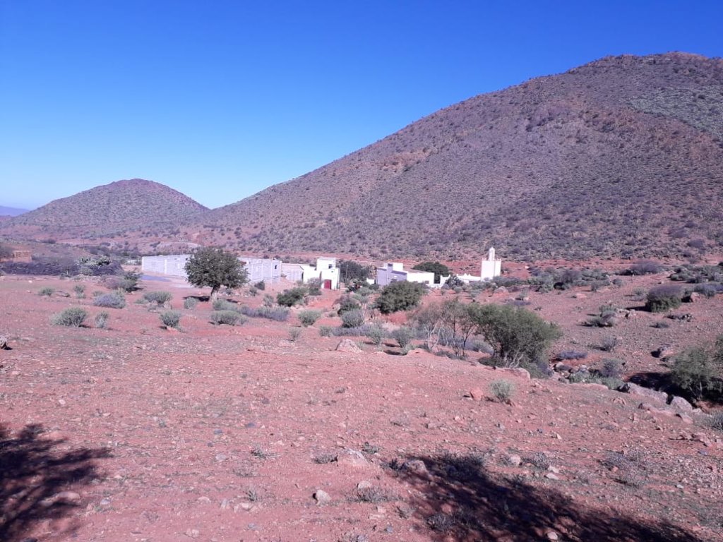 Safeguarding Indigenous Seeds in Southwest Morocco