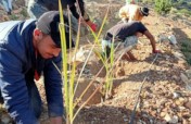 Safeguarding Indigenous Seeds in Southwest Morocco