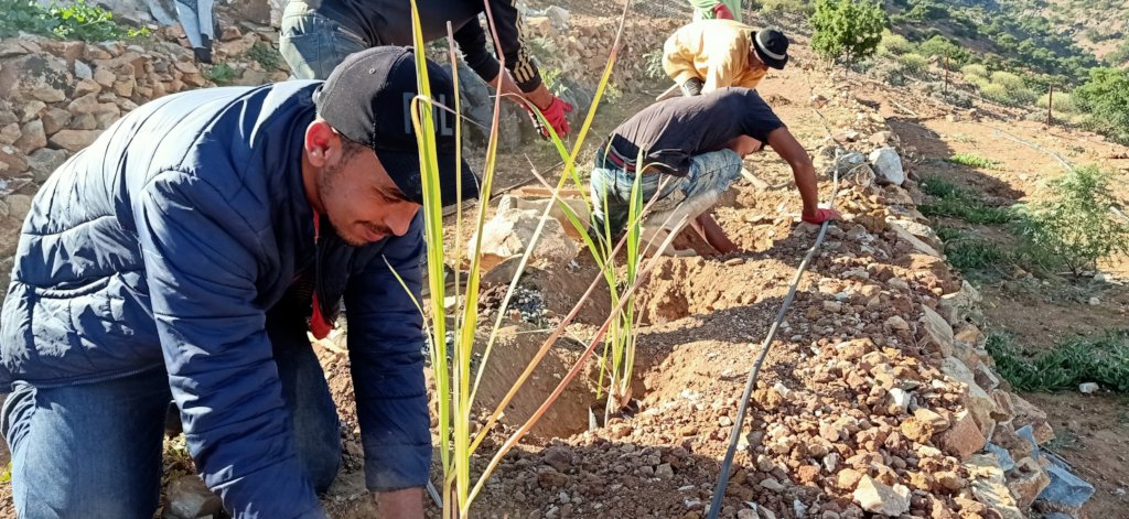 Safeguarding Indigenous Seeds in Southwest Morocco