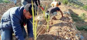 Safeguarding Indigenous Seeds in Southwest Morocco