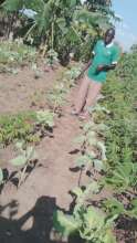 Dominic at his Vegetable Garden